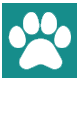 Mascotas